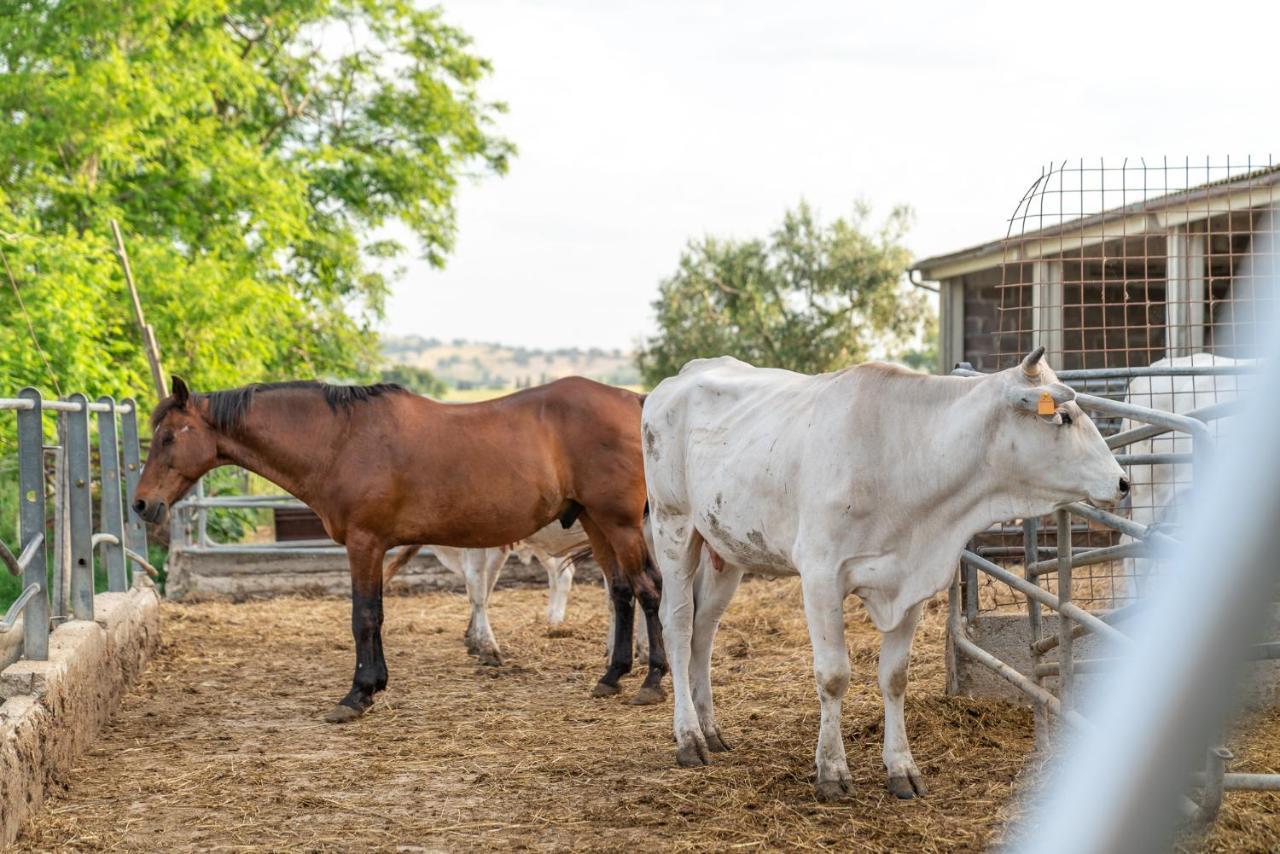 Agriturismo Al Girasole San Donato  Eksteriør bilde