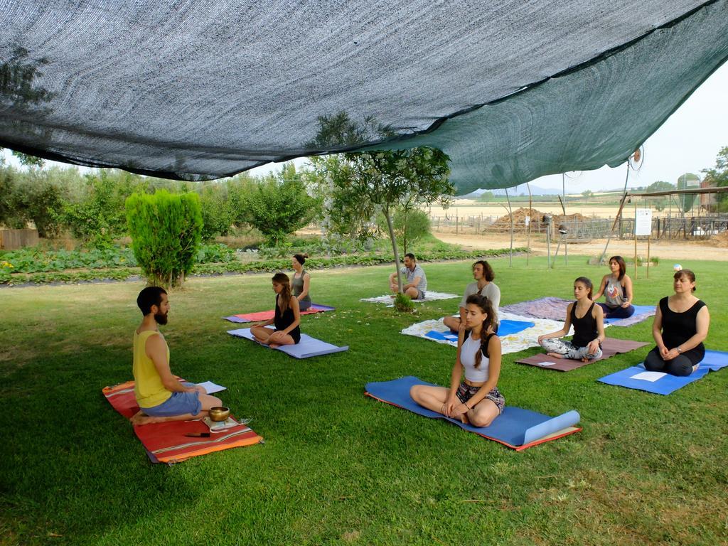 Agriturismo Al Girasole San Donato  Eksteriør bilde