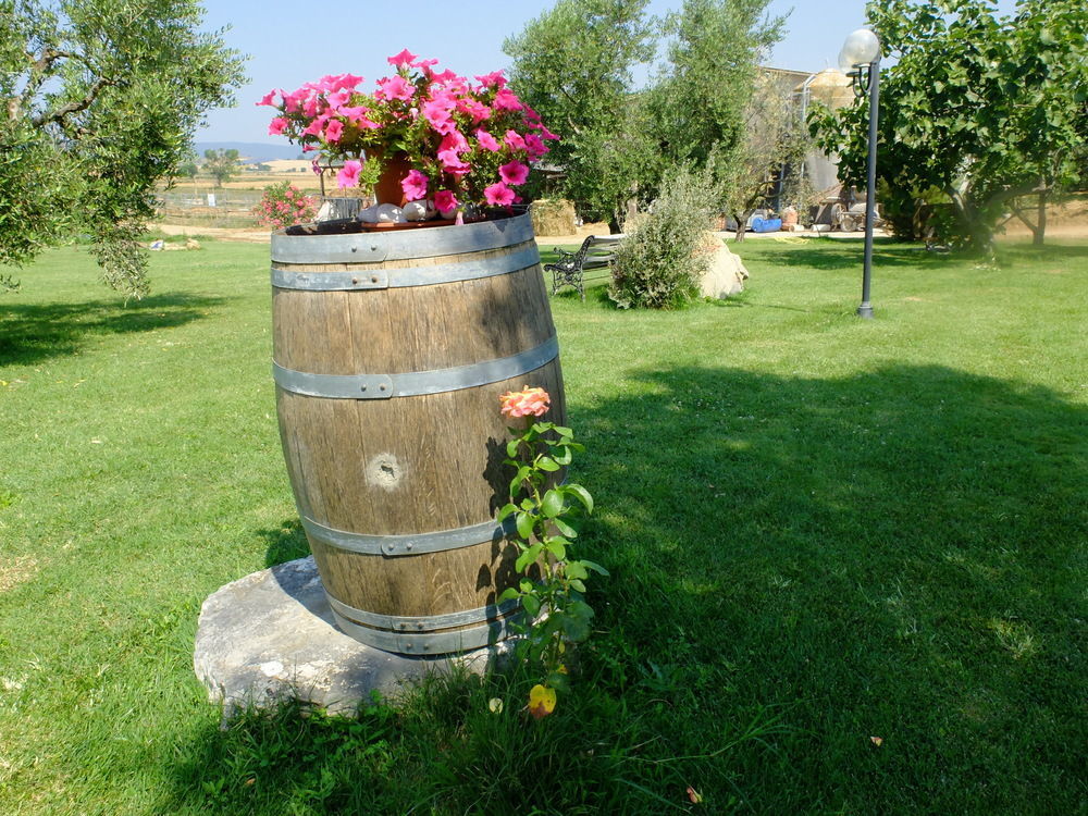 Agriturismo Al Girasole San Donato  Eksteriør bilde